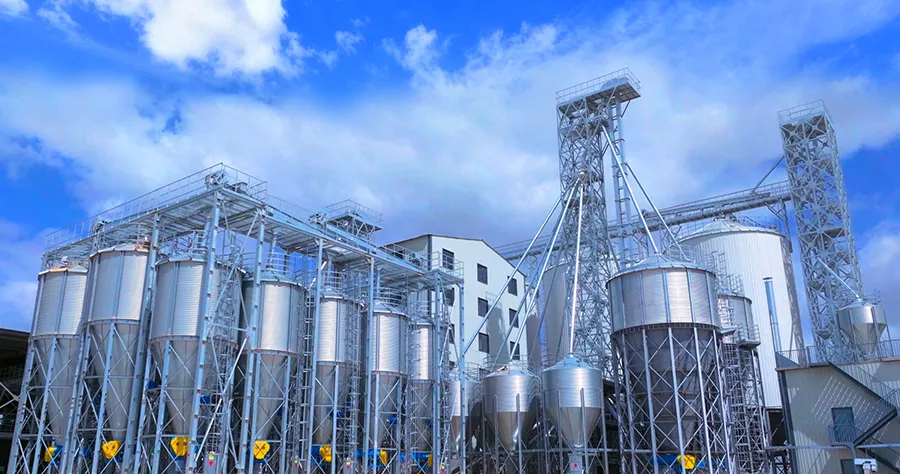 Automatic Feeding System