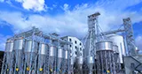 Automatic Feeding System